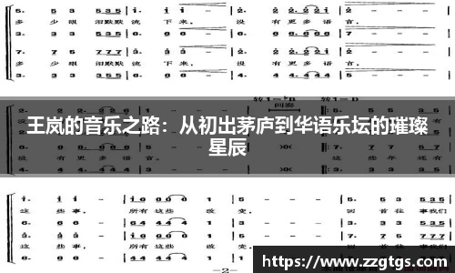 王岚的音乐之路：从初出茅庐到华语乐坛的璀璨星辰