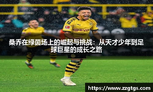 桑乔在绿茵场上的崛起与挑战：从天才少年到足球巨星的成长之路
